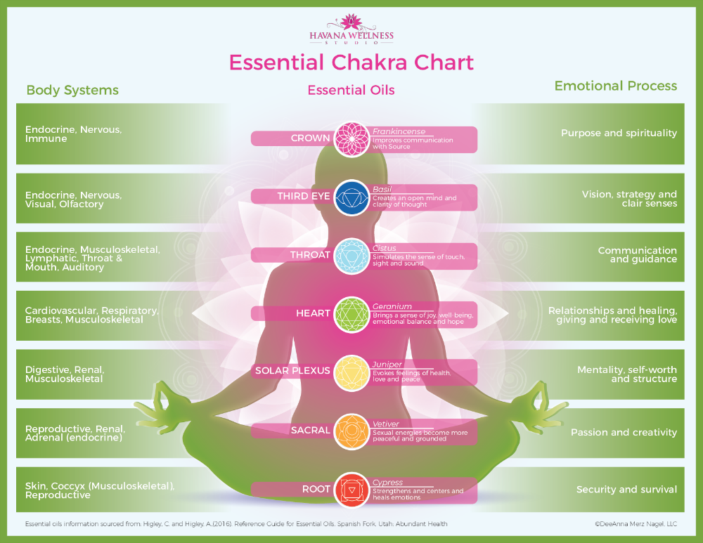 Essential Chakra Chart - Havana Wellness Studio
