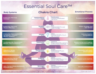 Essential Soul Care Chakra Chart
